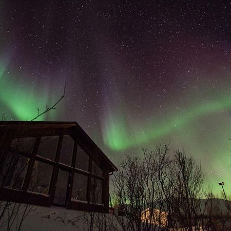 Aurora View Cabin Lyngseidet Zewnętrze zdjęcie