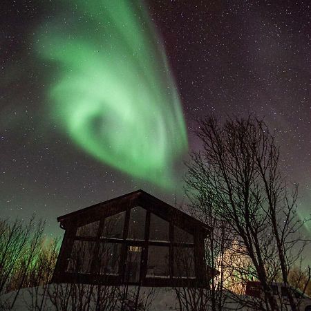 Aurora View Cabin Lyngseidet Zewnętrze zdjęcie