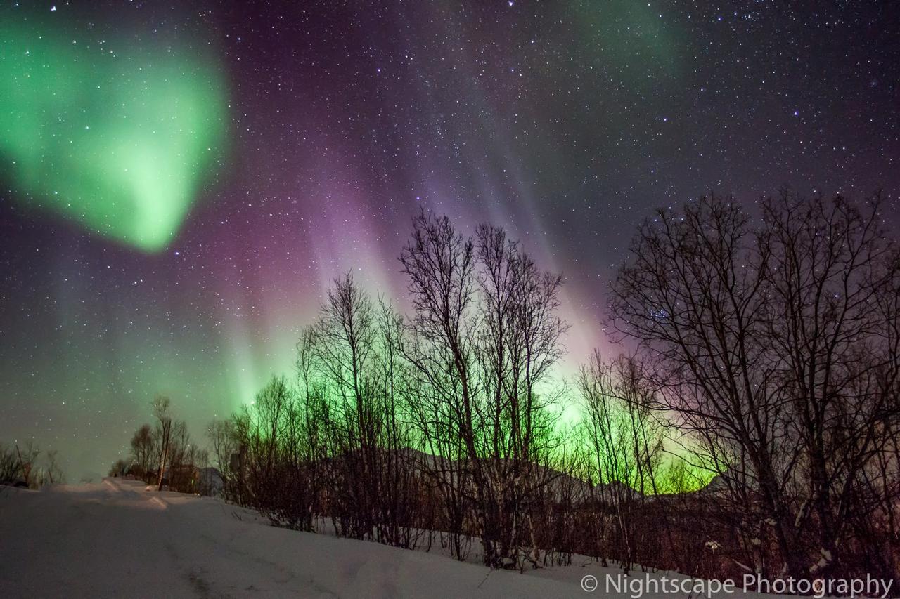 Aurora View Cabin Lyngseidet Zewnętrze zdjęcie