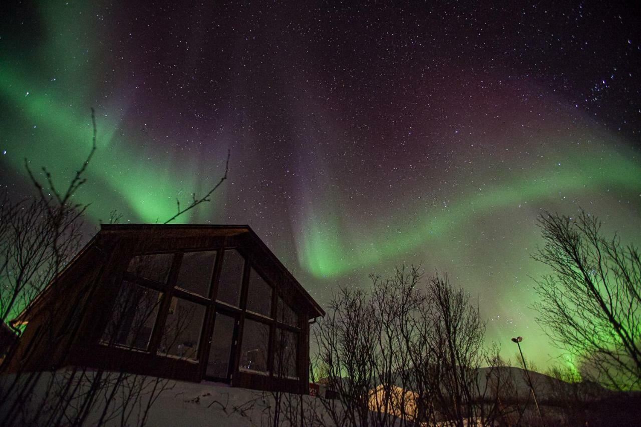 Aurora View Cabin Lyngseidet Zewnętrze zdjęcie